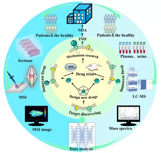 LC‒MS-based metabolomics and spatially resolved metabolomics in the new drug development process.